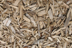 biomass boilers Nash Lee